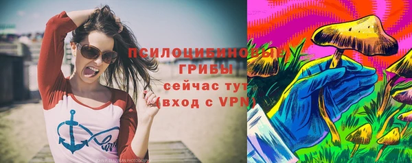 дмт Аркадак